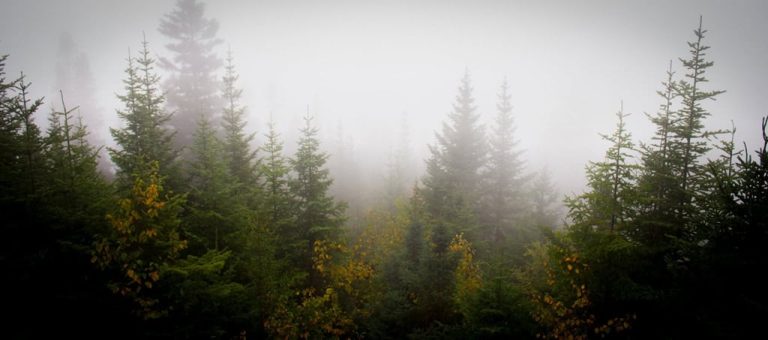 Malcolm Klimowicz Photography 2 768x340