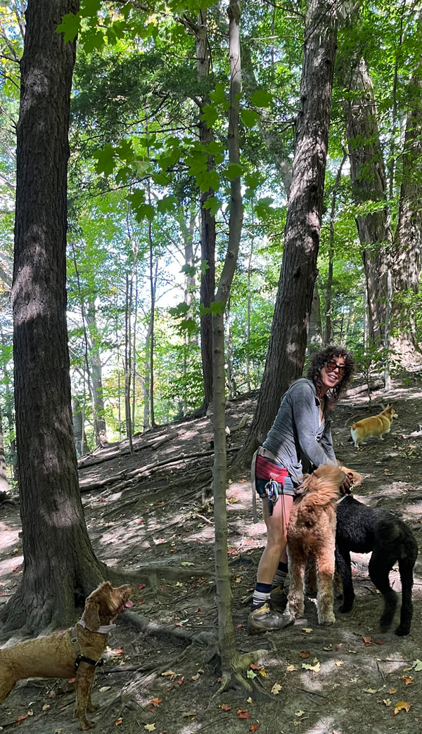 Toronto ravine dogs 2