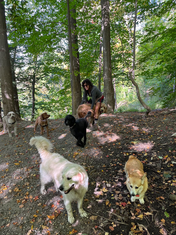 Toronto ravine dogs 3