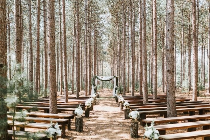 Wishing Well Experience