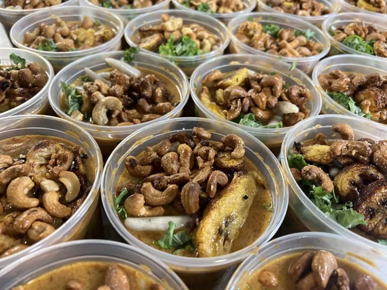 Savor living plant based meal delivery 2