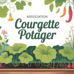association courgette potager illustration vectorielle SEO