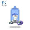 Fumot Digital Box 12000 Blueberry on Ice