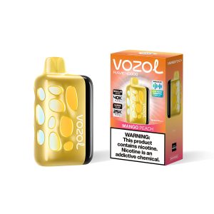 Vozol Rave 40000 Mango Peach