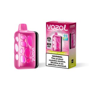 Vozol Rave 40000 Strawberry Watermelon