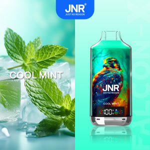 JNR Falcon-X 18000 Cool Mint