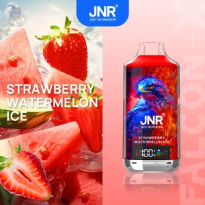 JNR Falcon-X 18000 Strawberry Watermelon Ice