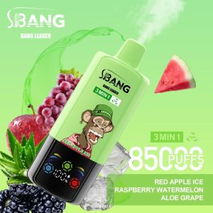 Bang Leader 85000 Red Apple Ice & Raspberry Watermelon & Aloe Grape
