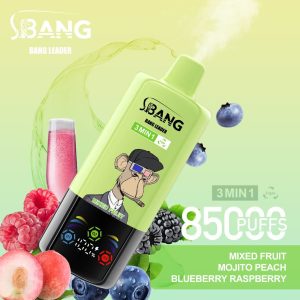 Bang Leader 85000 Mixed Fruit & Mojito Peach & Blueberry Raspberry
