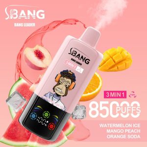Bang Leader 85000 Watermelon Ice & Mango Peach & Orange Soda