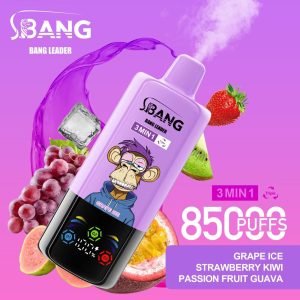 Bang Leader 85000 Grape Ice & Strawberry Kiwi & Passion Fruit Guava