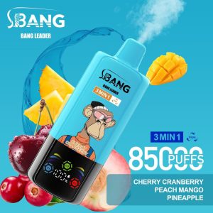 Bang Leader 85000 Cherry Cranberry & Peach Mango & Pineapple
