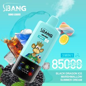 Bang Leader 85000 Black Dragon Ice & Marshmallow & Summer Dream