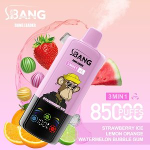 Bang Leader 85000 Strawberry Ice & Lemon Orange & Watermelon Bubble Gum