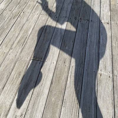 Embodied Movement Medicine – inspired by Somatic Dance