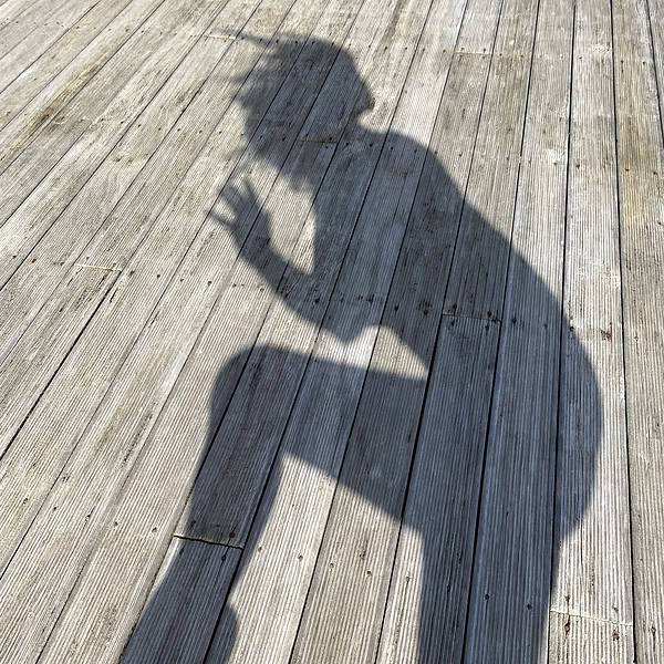 Embodied Movement Medicine – inspired by Somatic Dance