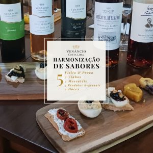 Vinhos e sobremesas regionais do Douro, degustação harmonizada, vinícola Venâncio da Costa Lima, experiência enológica, produtos regionais do Vale do Douro, queijos, doces e moscatéis.