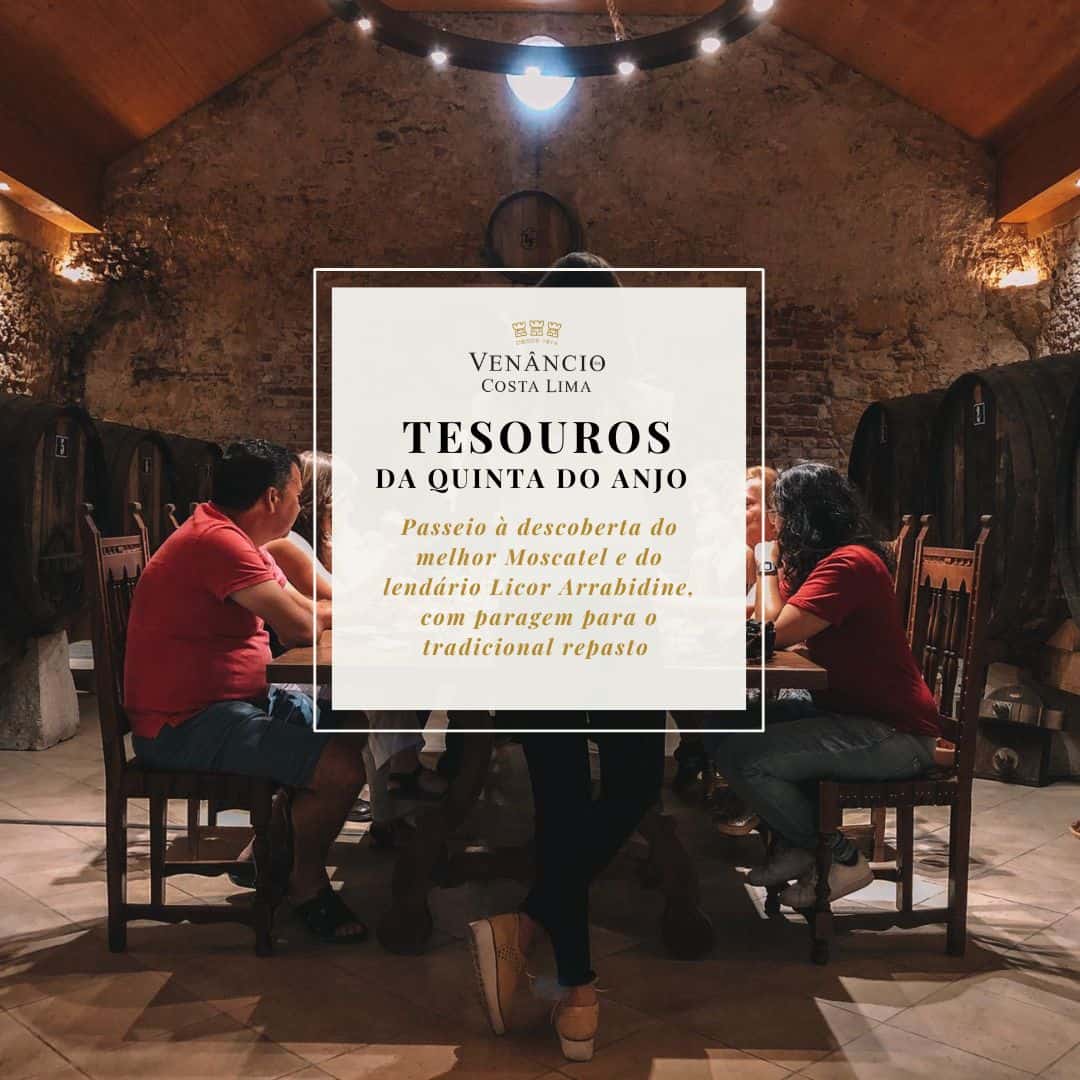 Tesouros da Quinta do Anjo no Vinâncio da Costa Lima, experiência de degustação de Moscatel e Licor Arrabidine, tradicional e confortável espaço de provas de vinhos em ambiente rústico e acolhedor.