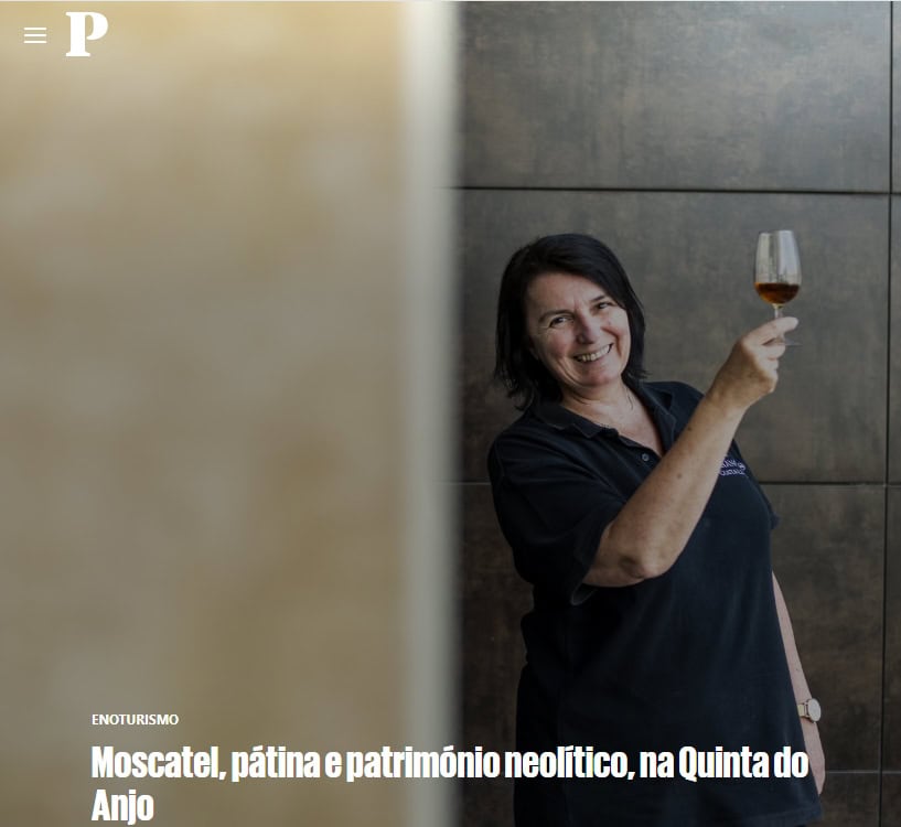Moscatel, vinha de patamares neolíticos, na Quinta do Anjo, destacando-se pelo seu património cultural e enoturismo, com destaque para a produção de vinhos tradicionais de qualidade.