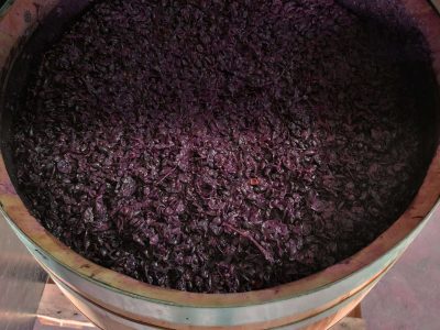 Molho de uvas pretas fermentando em barril de vinho, processo tradicional na vinicultura de Portugal, na vinícola Venâncio da Costa Lima.