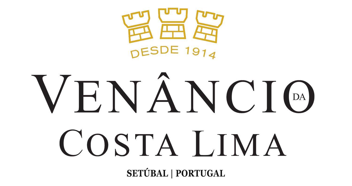 logo dark