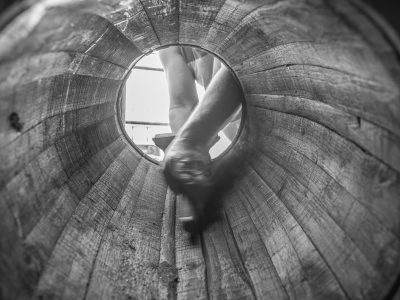 Vinho, castelo de madeira, produção artesanal, enologia, vinicultura, envelhecimento do vinho, processo de envelhecimento, fermentação, barril de vinho, vinicultor, vinhedo, arte vinícola, viticultor, adega, produção de vinho artesanal, tradição vinícola, enólogo, indústria do vinho, colheita de uvas, vinho artesanal.