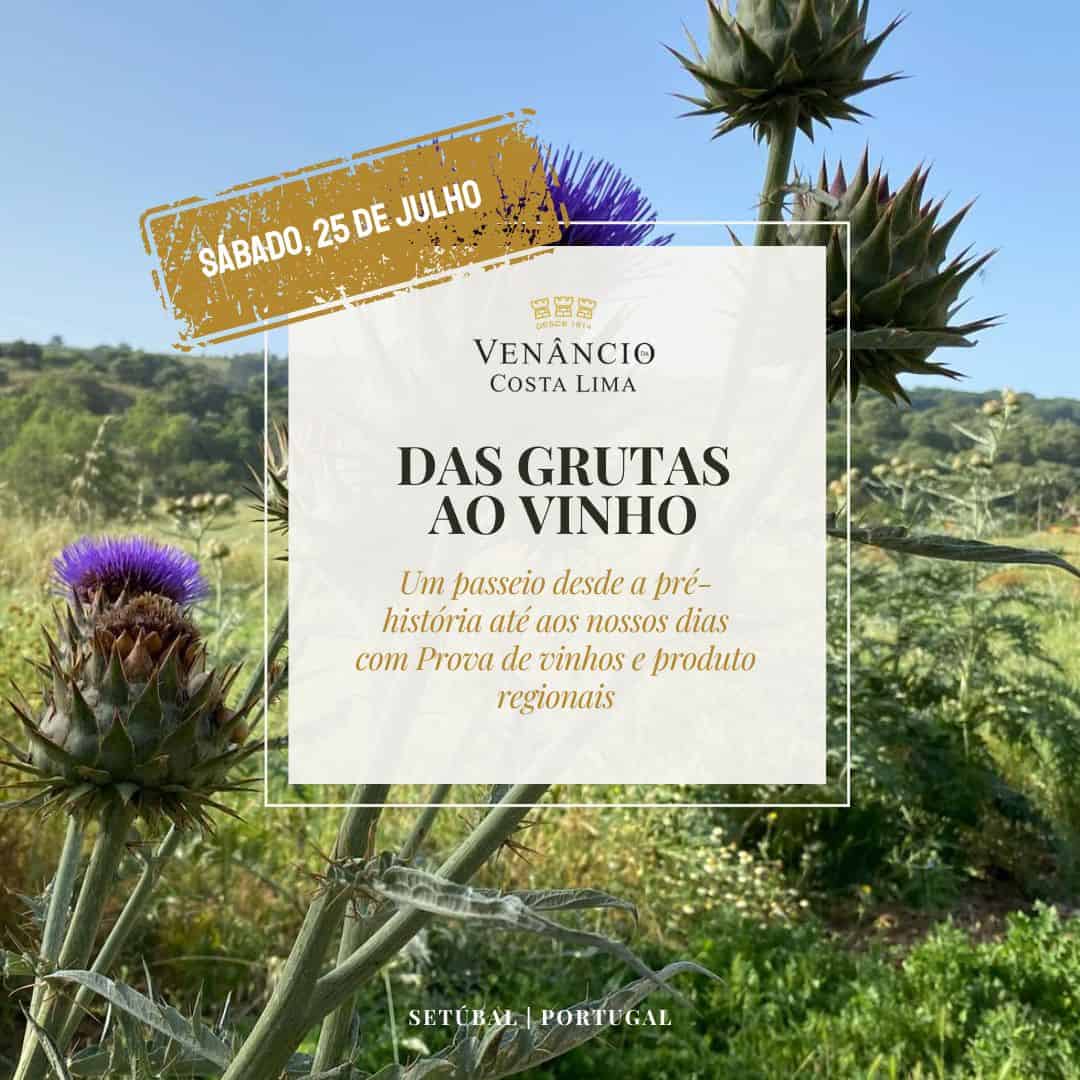 Das Grutas ao Vinho Na Quinta do Anjo - 25 Julho