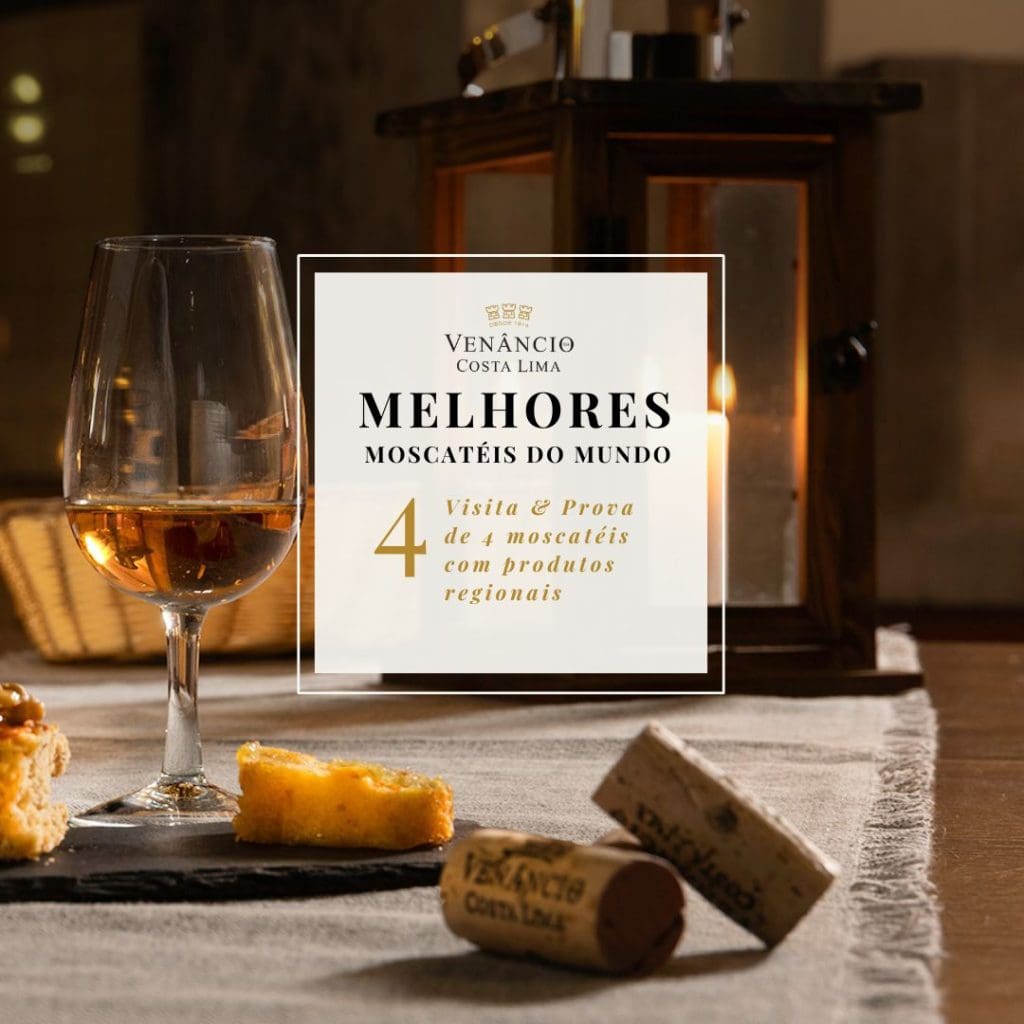 Descubra na origem os nossos Moscatéis premiados. Por cinco vezes no 1º lugar com a mais alta pontuação no concurso MuscatsduMonde©