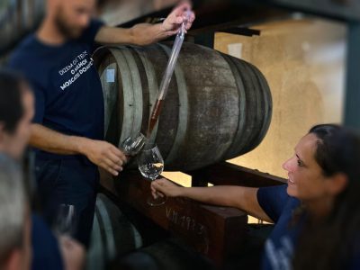 Vinho a ser elaborado na adega de Venâncio da Costa Lima, com equipe de sommeliers e enólogos, demostrando o processo de degustação e produção de vinhos de alta qualidade em Portugal.