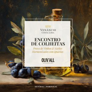 Encontro de Colheitas