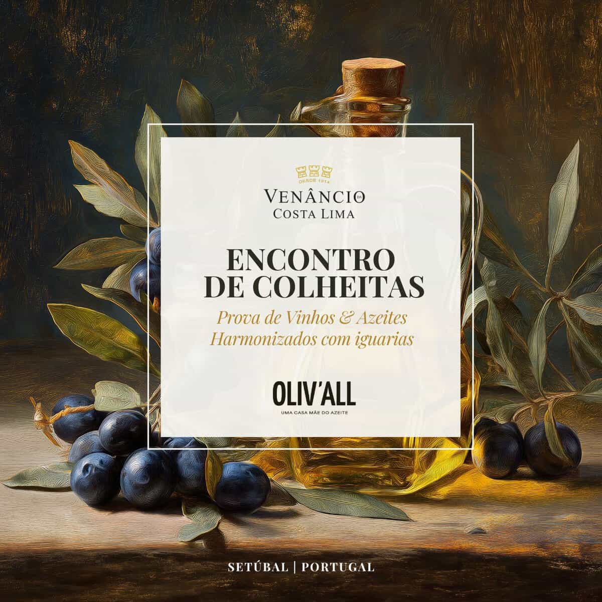 Encontro de Colheitas