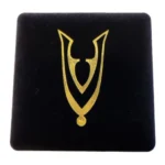 Challenge Coin verpakkingsdoos met draagsinsigne veteraan