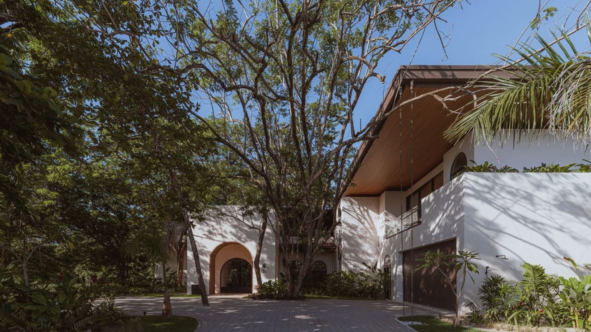 Luxurious modern house surrounded by lush greenery and tall trees, elegant architectural design, and a shaded driveway.