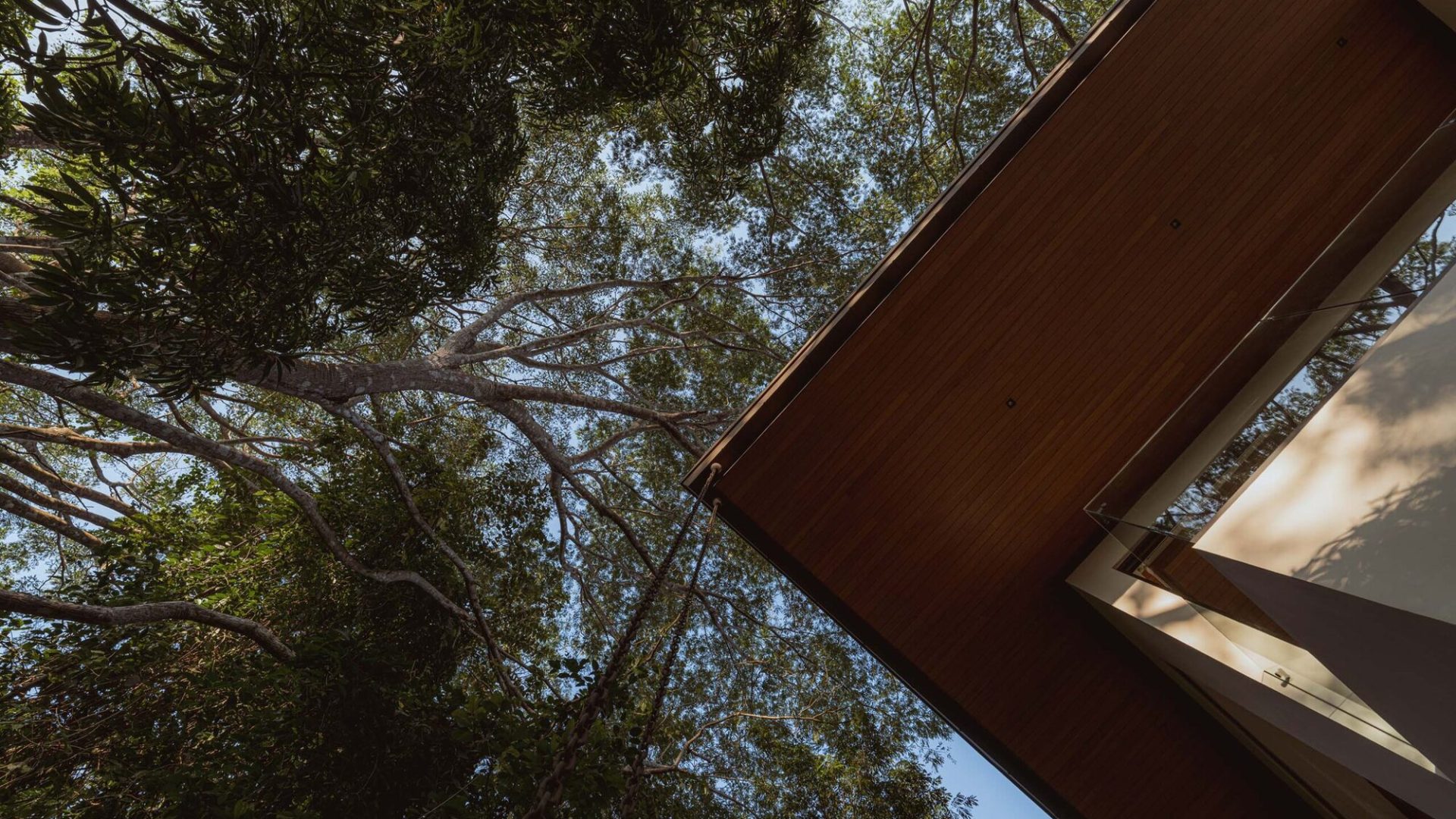 Modern house with wooden facade and glass balconies surrounded by tall trees in Vida Pinilla, creating a peaceful natural retreat.