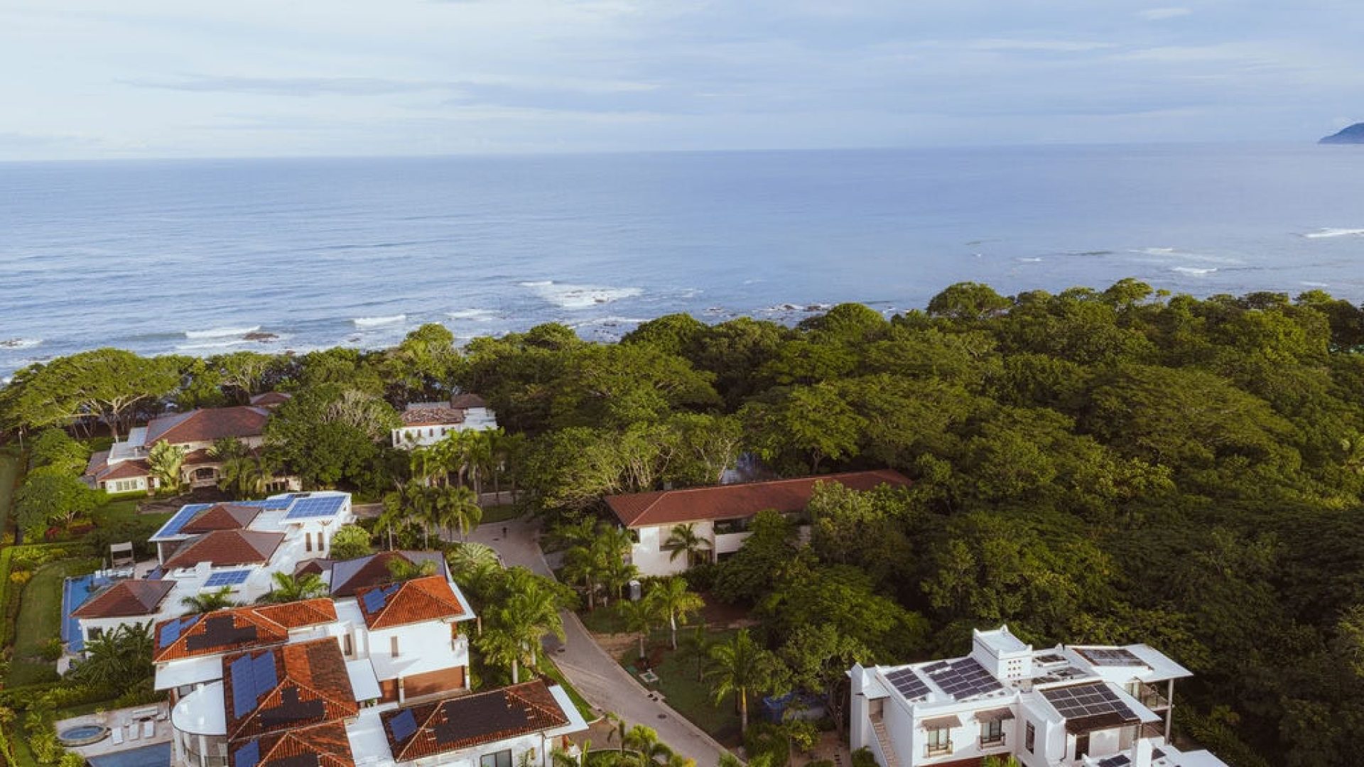 Luxurious beachfront homes with lush greenery and ocean views.
