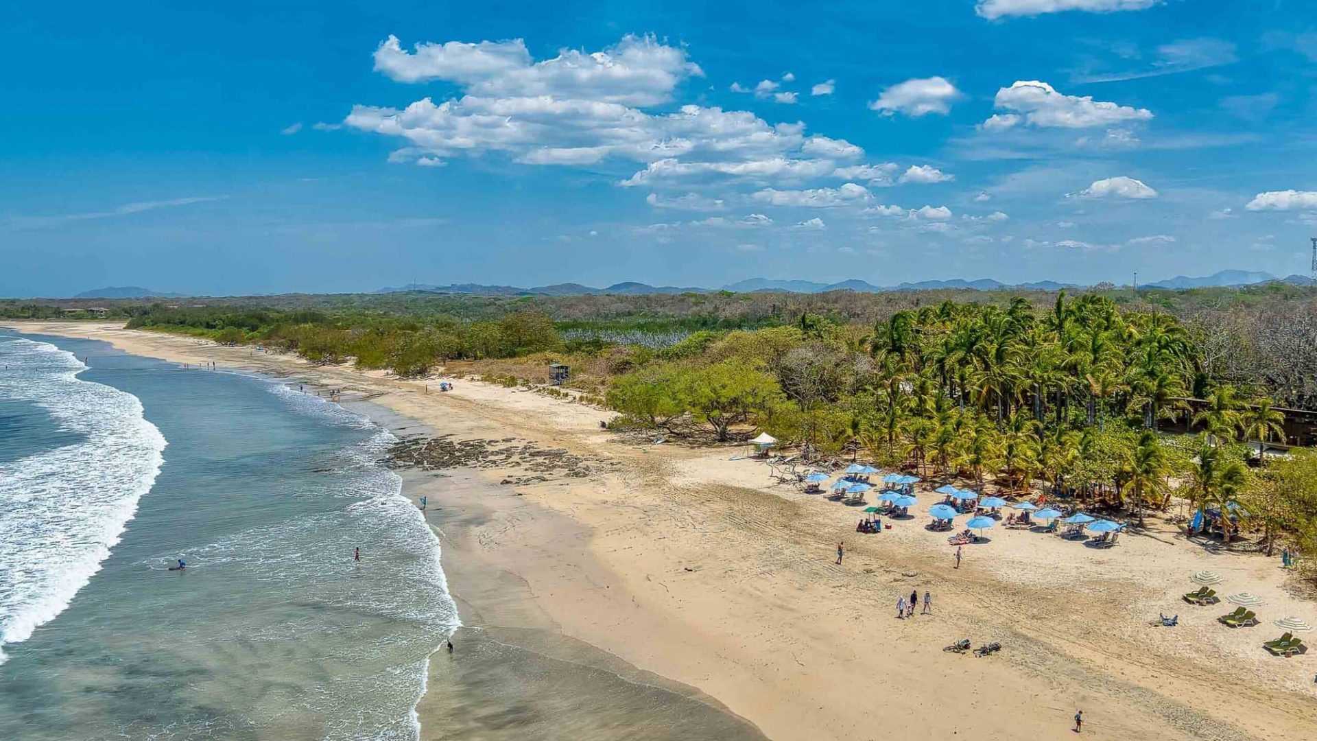 Vivid beach scene with turquoise waves, shaded palm trees, and people enjoying the sunny day.