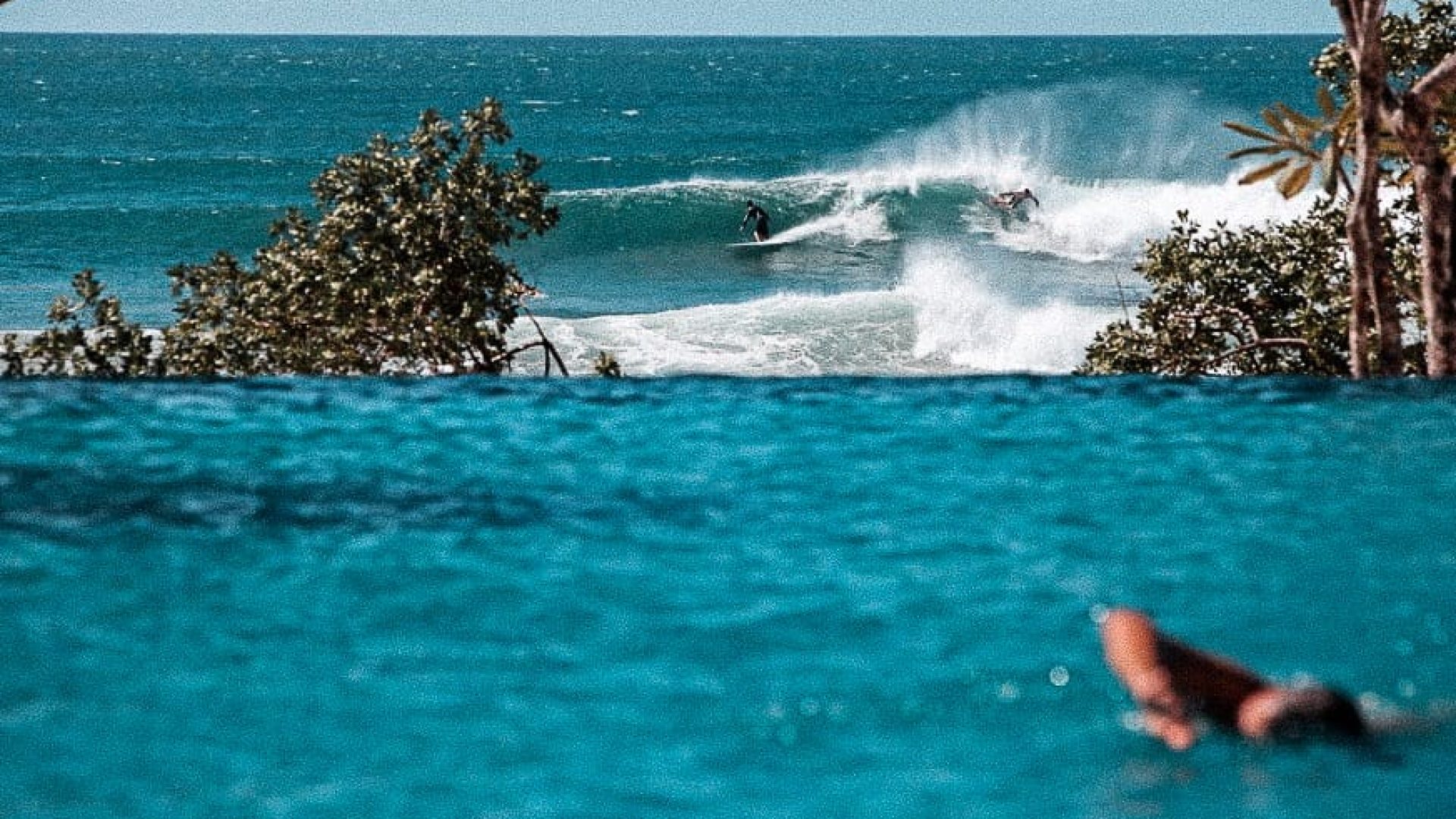 Vibrant ocean surf scene with surfers riding waves near tropical trees.