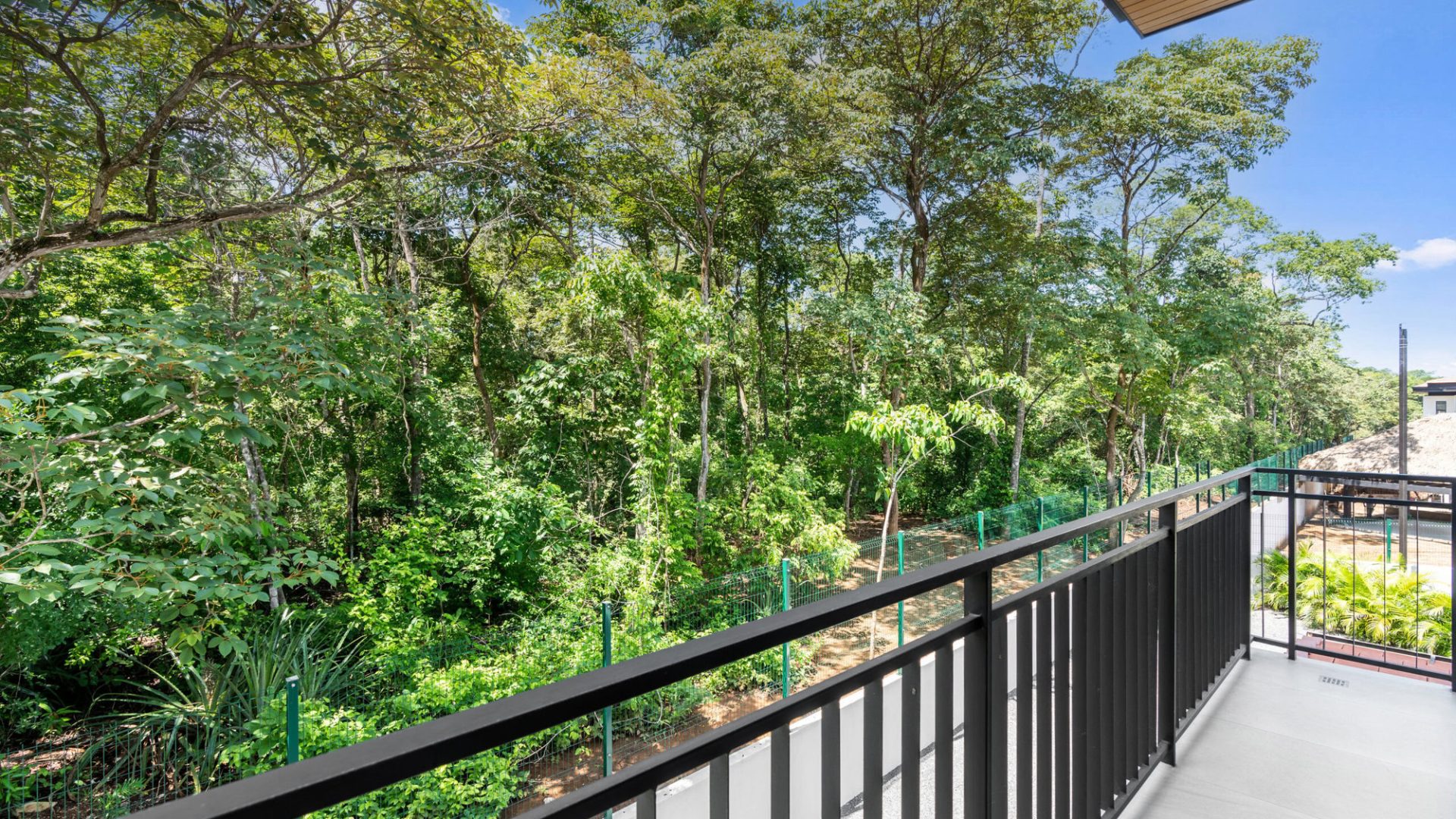Lush green trees view from a balcony in Vida Pinilla residential community in Colombia.