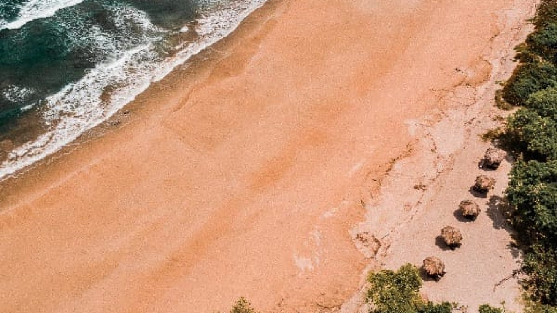 Secluded sandy beach with ocean waves and lush greenery, perfect for relaxation and nature escapes.