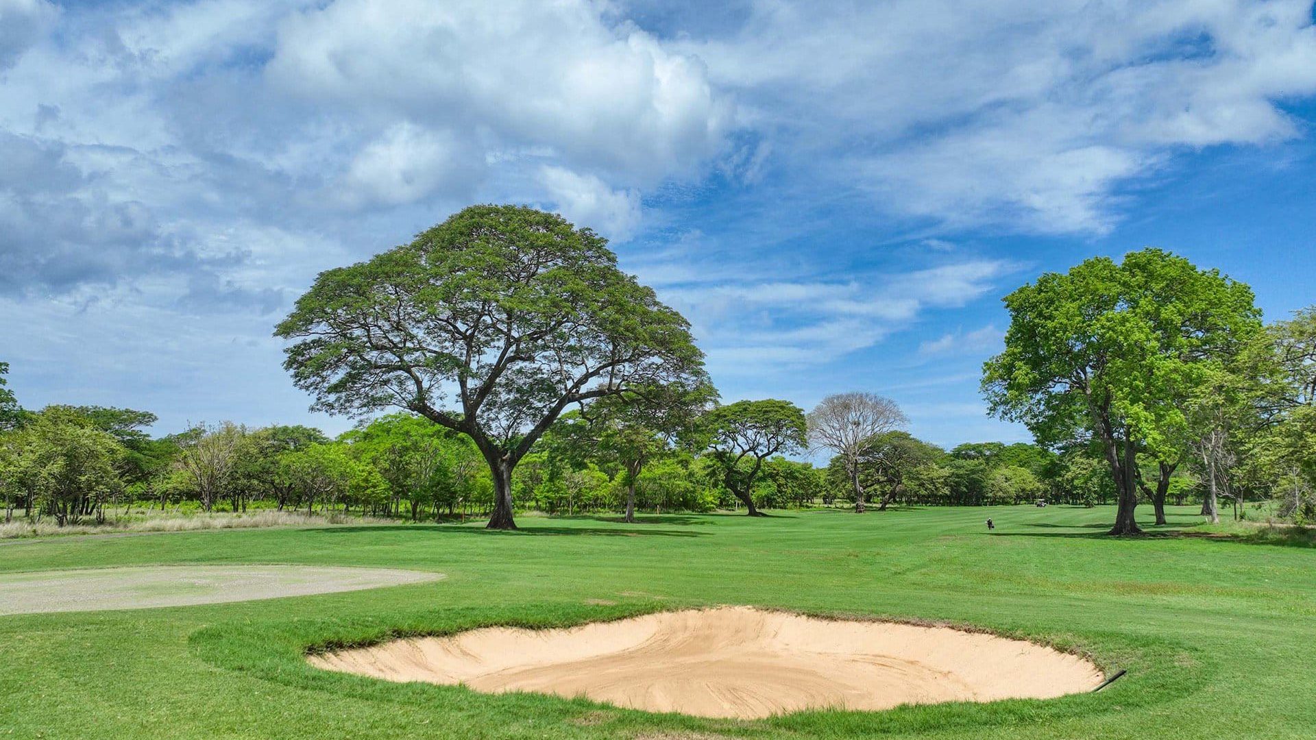 Lush green golf course with sand bunker and tall trees under a partly cloudy sky.