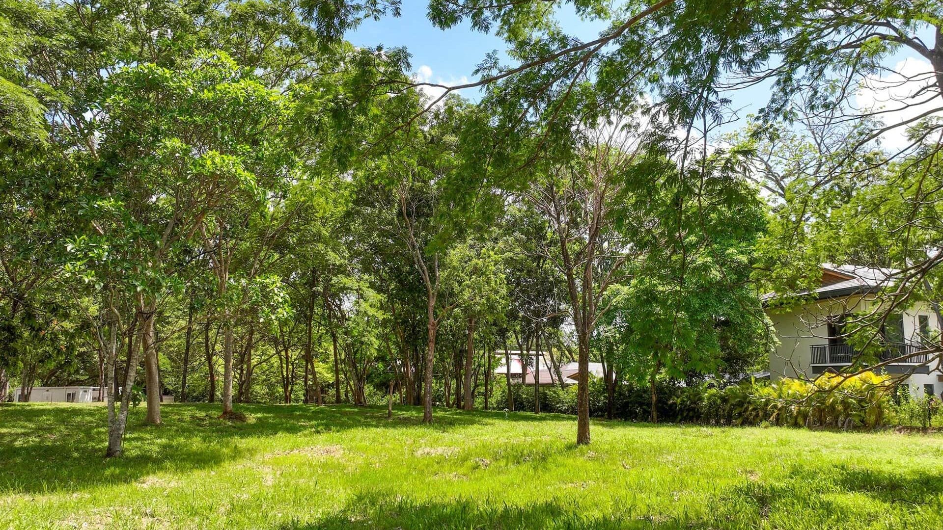 Lush green backyard with mature trees and well-maintained grass, ideal for outdoor activities and relaxation.