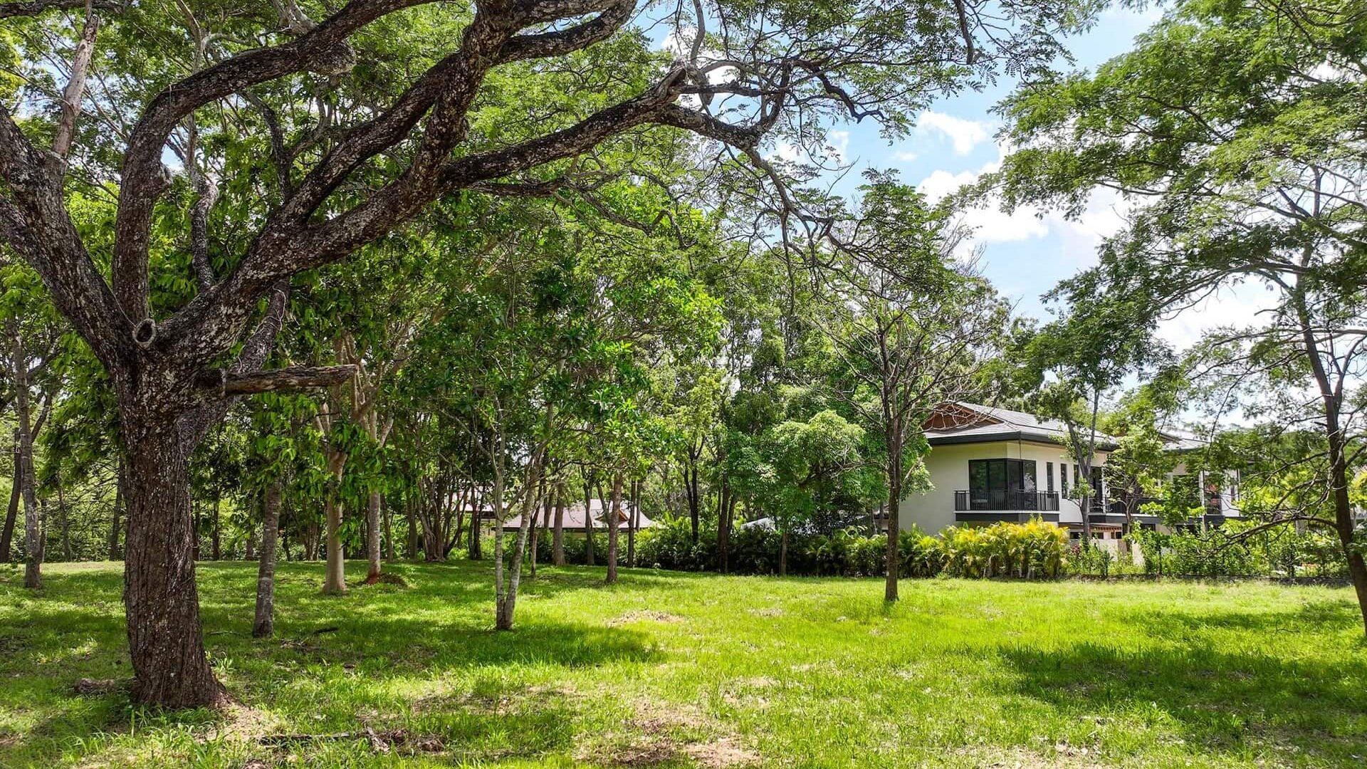 Lush green backyard with mature trees and a modern house, outdoor space perfect for relaxation.