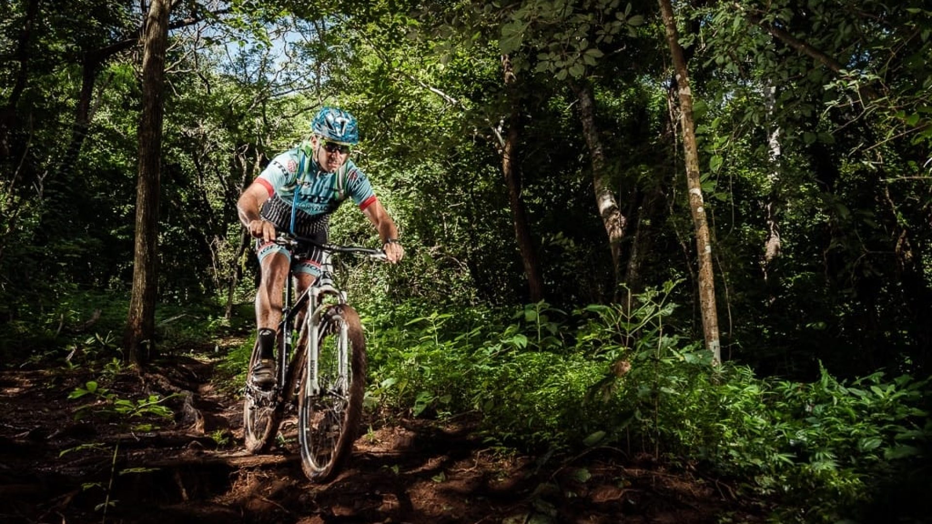 Adventure cyclist riding mountain bike through lush forest trail for outdoor sports.