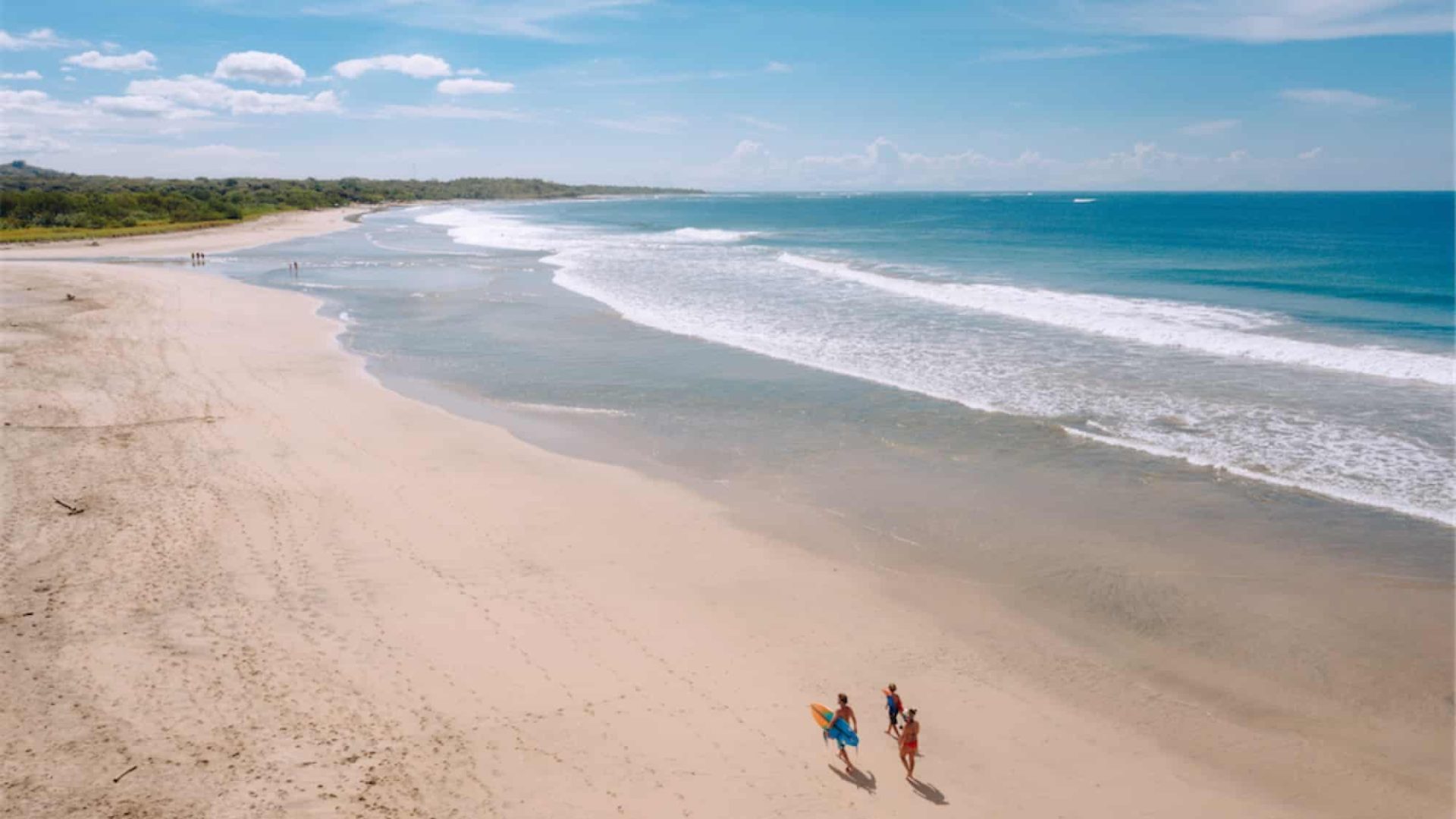 Bright sunny beach with waves, palm trees, and surfers enjoying the ocean scene.