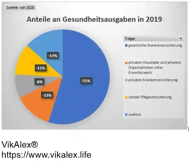 Gesundheitsausgaben 2020 Anteile