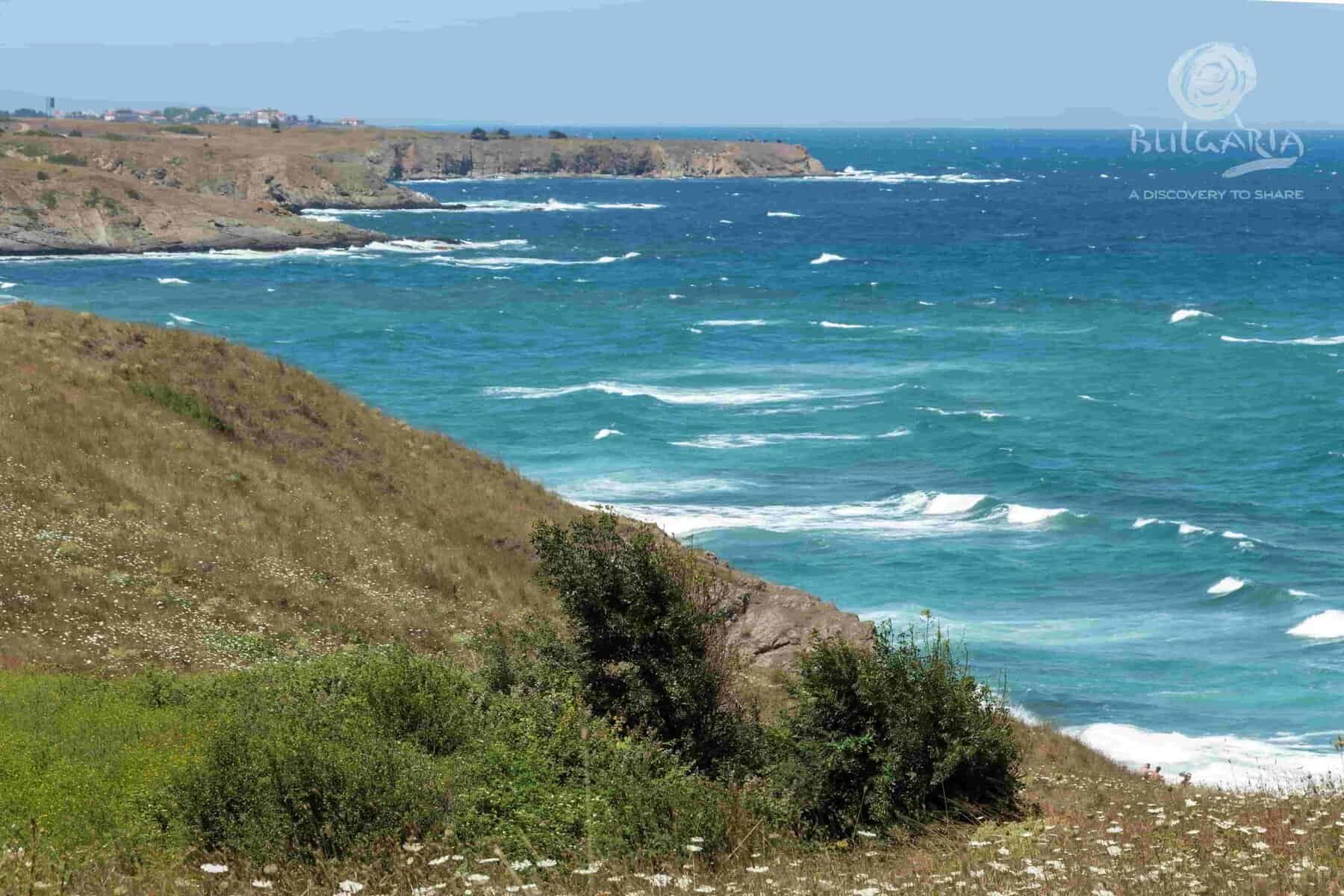 A clear blue sky with no clouds, stretching as far as the eye can see.