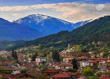 a city with red roofs and trees and mountains in the background