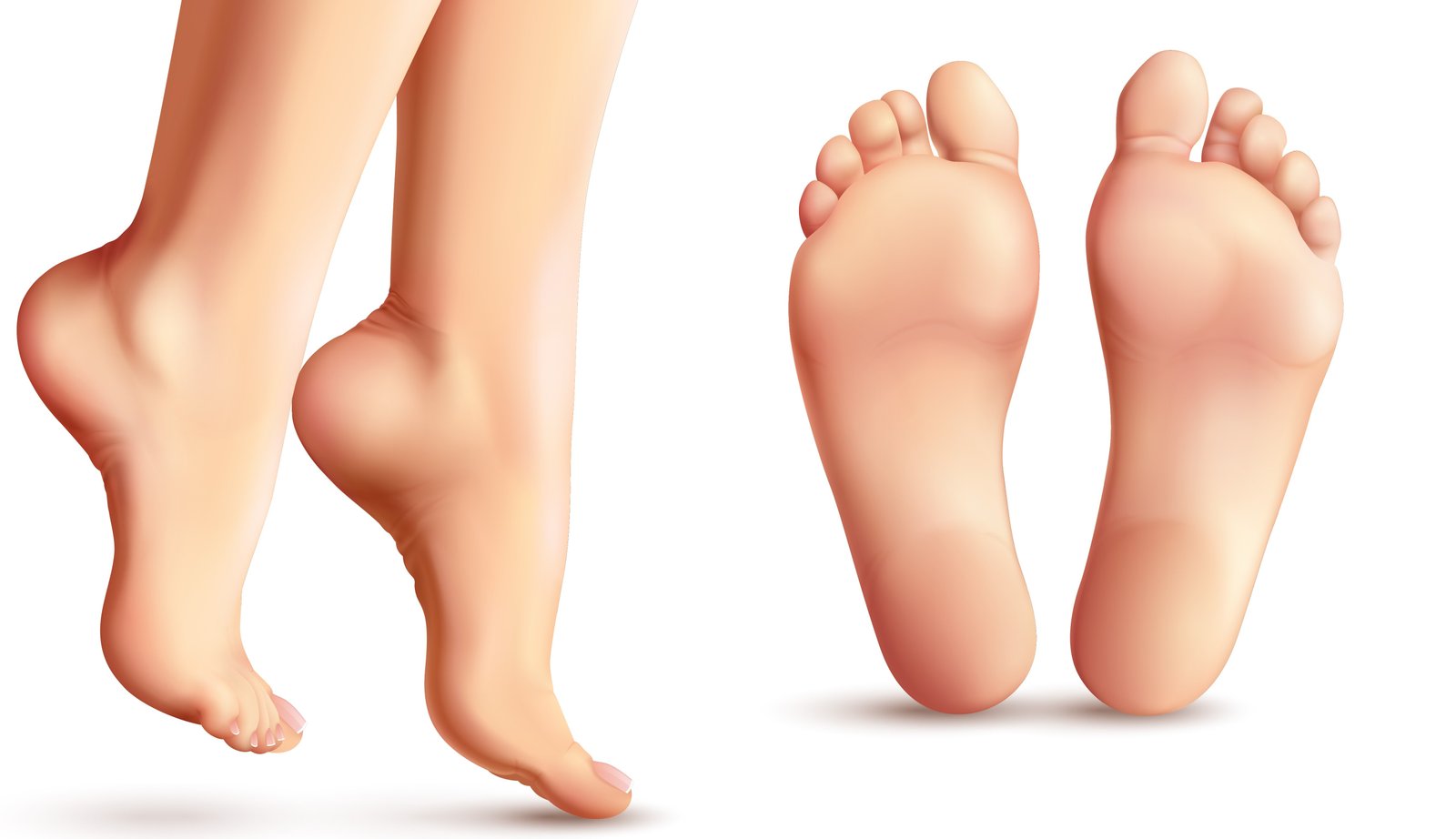 Piedi sudati