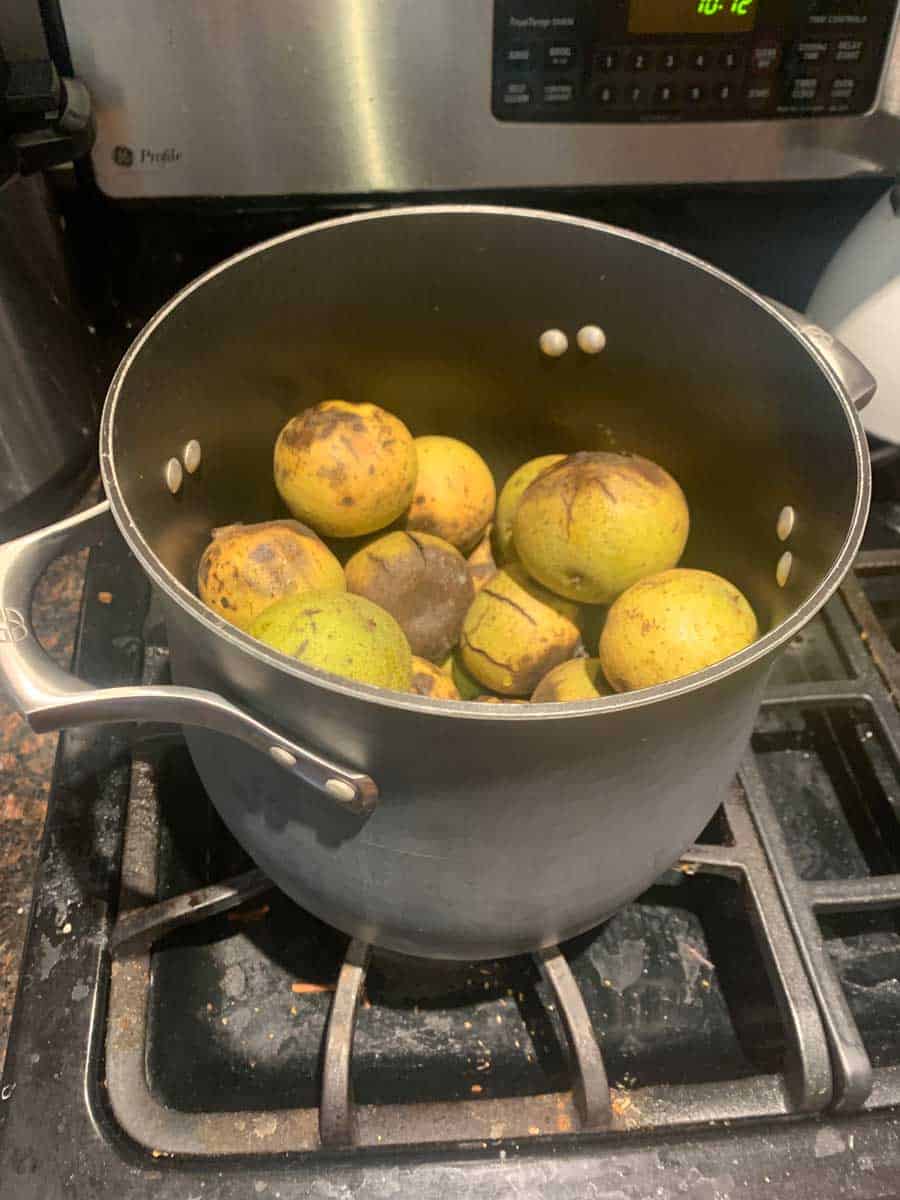 Rotting apples in a black pot on a stove.