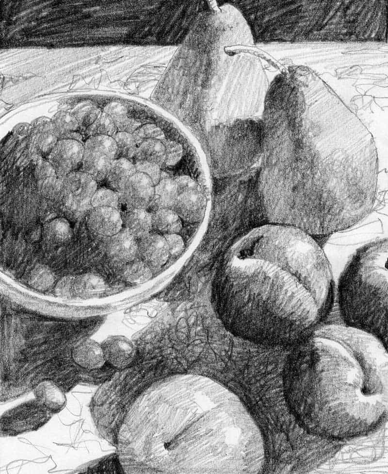 Vivid still life pencil drawing of assorted fresh fruits including grapes, pears, apples, and peaches arranged on a textured surface showcasing artistic shading and detail.